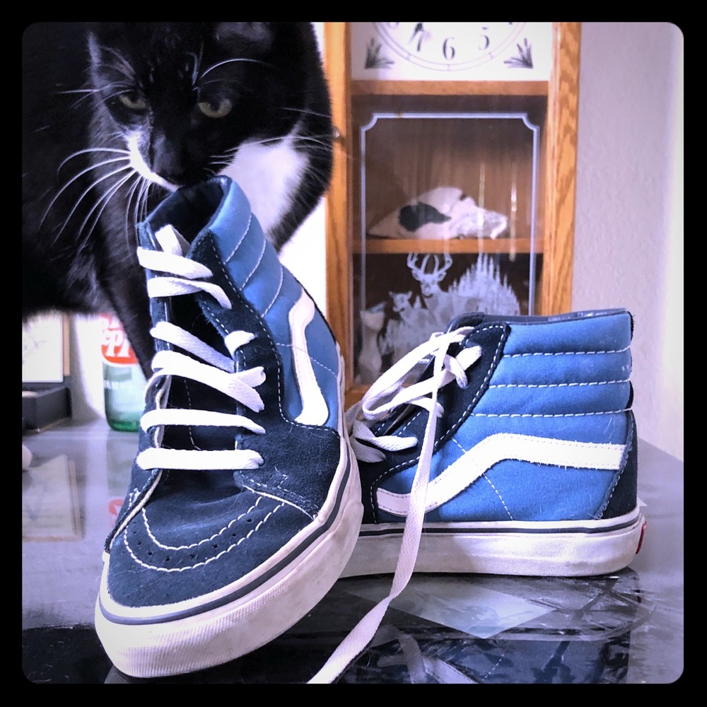 Blue and white vans
